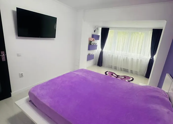 17 Appartement *